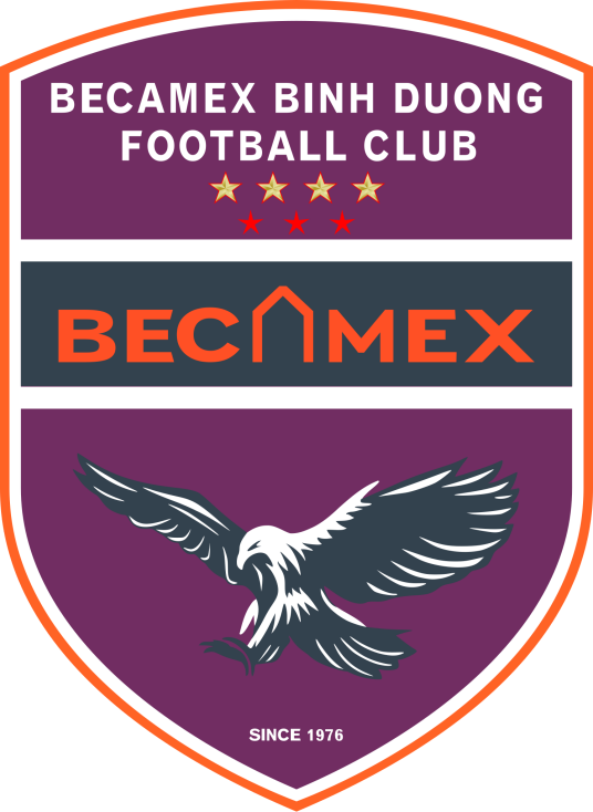 平阳贝卡麦克斯足球俱乐部