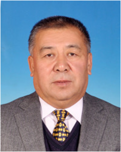 王浩然(财政部驻内蒙古专员办原副巡视员)