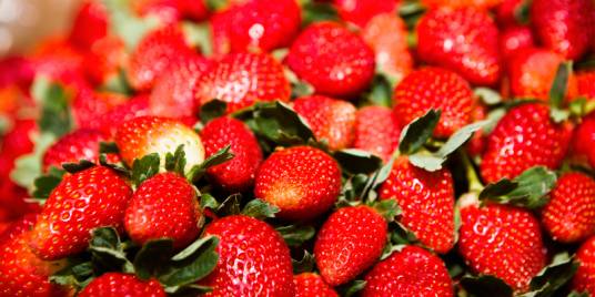 丽红(日本引进草莓品种)