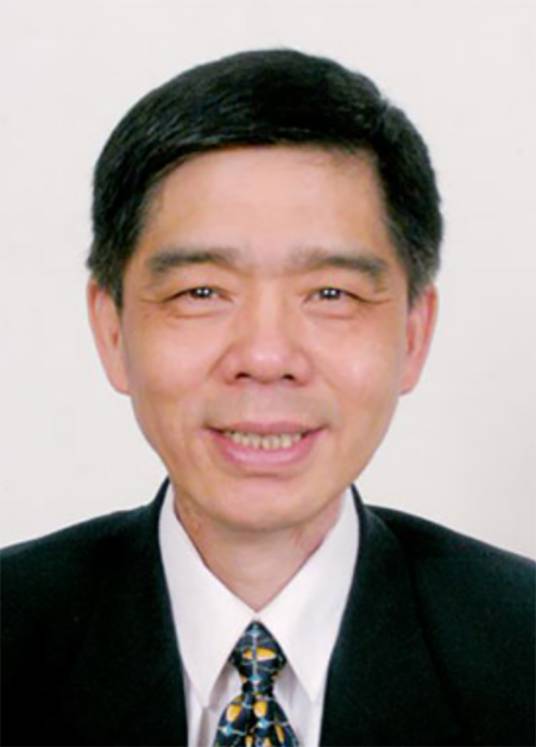 曾毅(荷兰皇家艺术和科学院外籍院士、发展中国家科学院院士、人口学家)