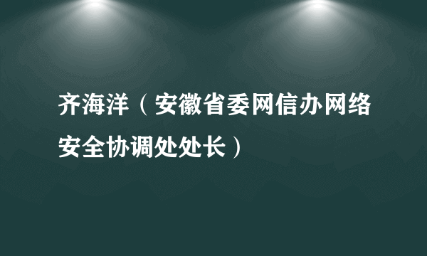 齐海洋（安徽省委网信办网络安全协调处处长）