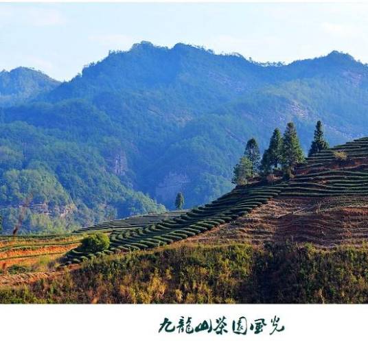 九龙山（湖南省隆回县九龙山）