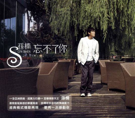 忘不了你（孙楠演唱歌曲）