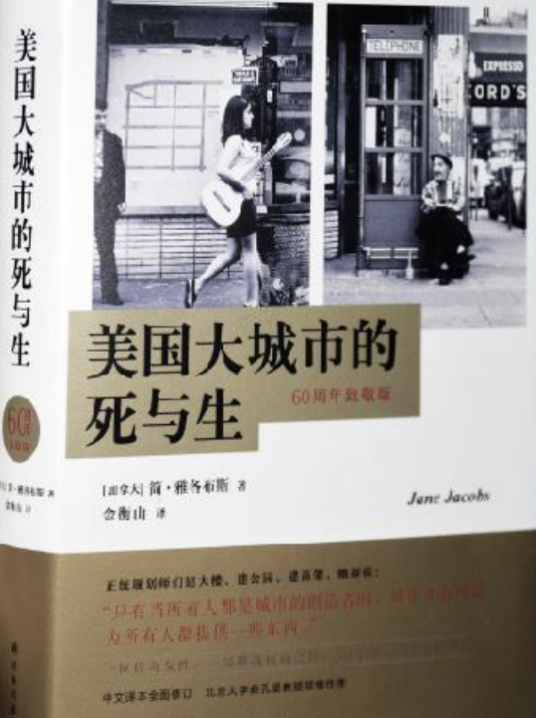 美国大城市的死与生(2006年译林出版社出版的图书)