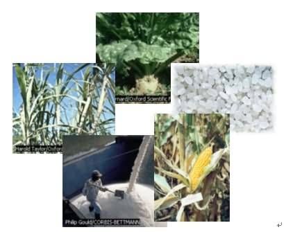 天然高分子化合物