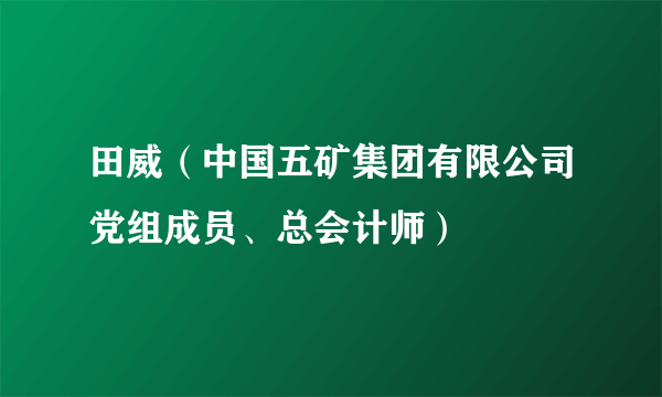 田威(中国五矿集团有限公司党组成员、总会计师)