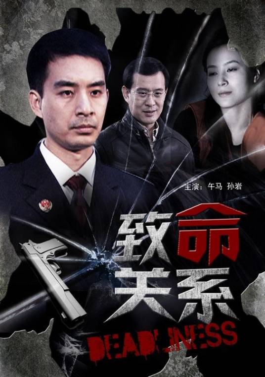 致命关系(2012年寒流执导的剧情电影)