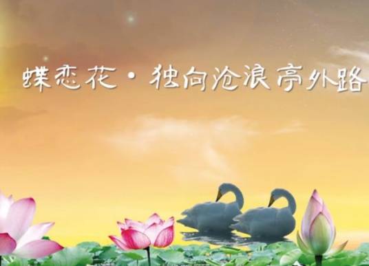 蝶恋花·独向沧浪亭外路