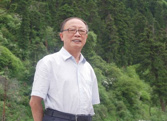 王蓓（中国当代书画家）