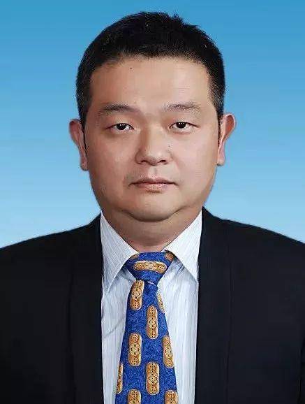 夏鹏(武汉市数据局党组副书记、副局长(正局级))