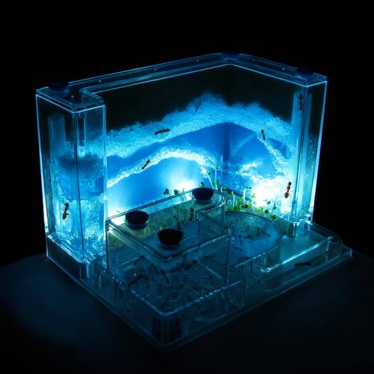 蚂蚁工坊（饲养蚂蚁的设施）