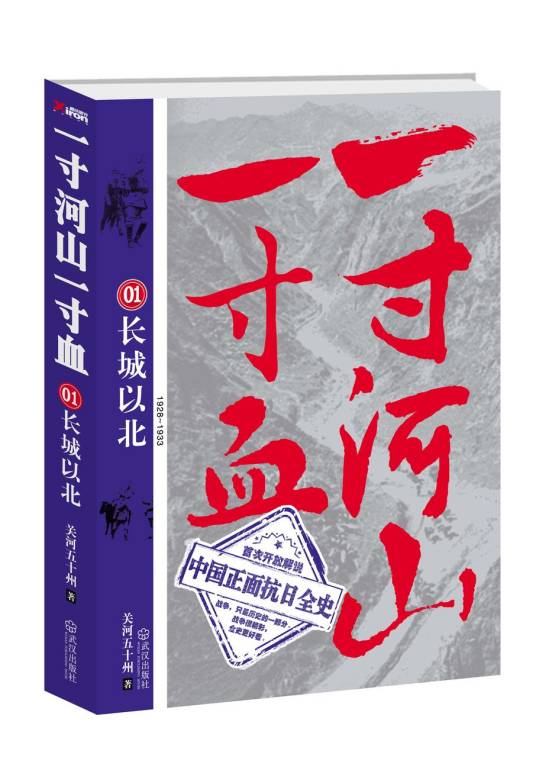 一寸山河一寸血(2011年武汉出版社出版的图书)