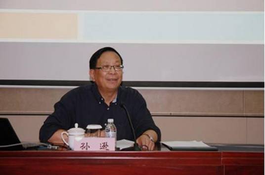孙逊(中国红楼梦学会原副会长、上海师范大学教授)