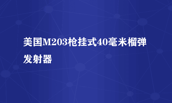 美国M203枪挂式40毫米榴弹发射器
