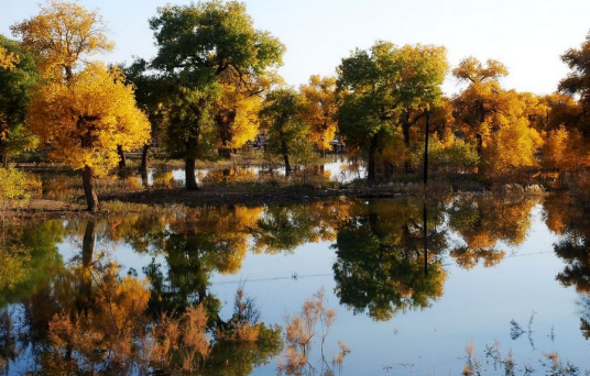 内蒙古东阿拉善自然保护区