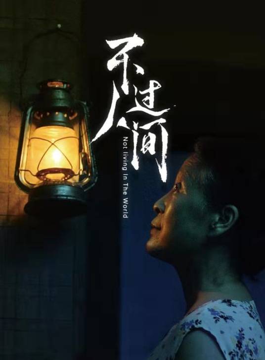 不过人间(2021年赵二军执导电影)