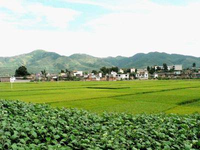 白龙桥村(云南省昆明嵩明县牛栏江镇白龙桥村)