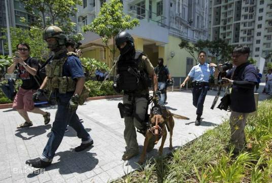 飞虎队(香港反恐特警队)