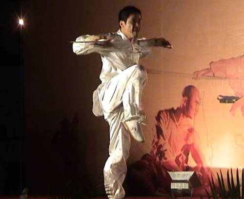 鹤拳(中国传统武术拳法)