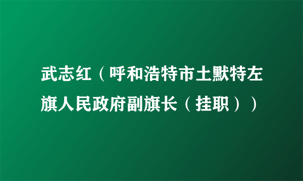 武志红(呼和浩特市土默特左旗人民政府副旗长(挂职))