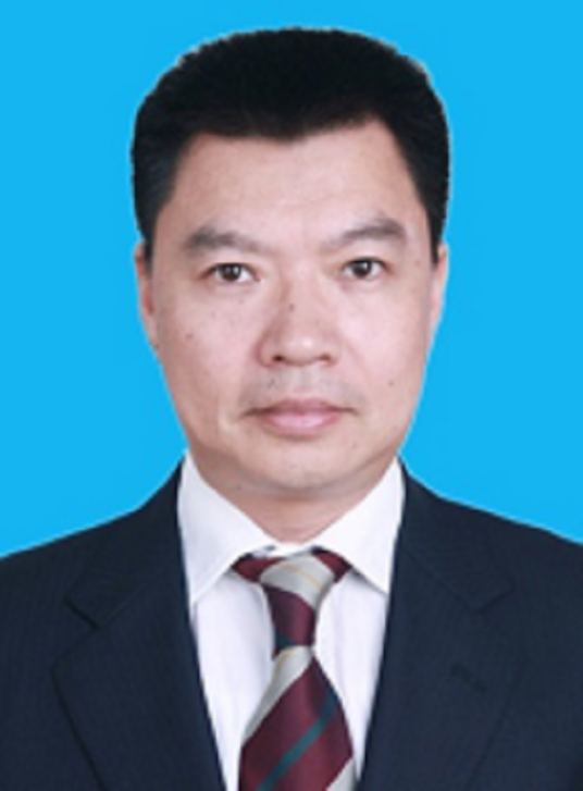 陈华(安徽省合肥市庐阳区原区委书记、区人武部原第一书记)