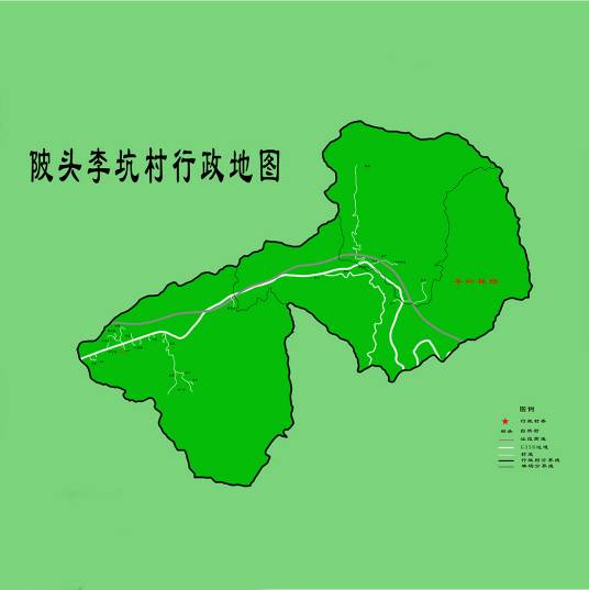 李坑村（广东连平县陂头镇李坑村）