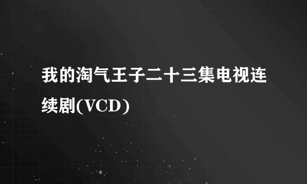 我的淘气王子二十三集电视连续剧(VCD)