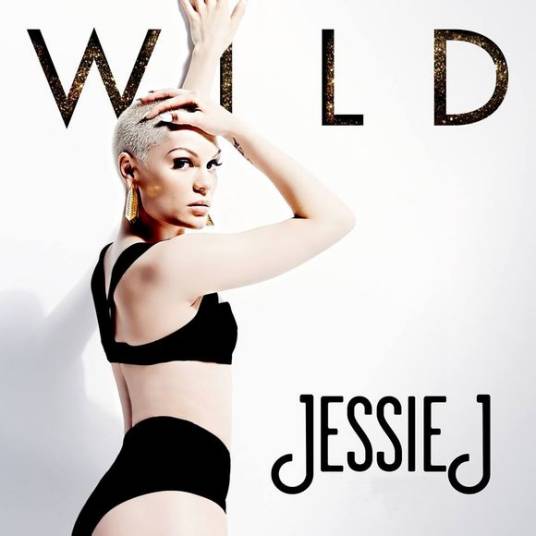 wild(JessieJ单曲)