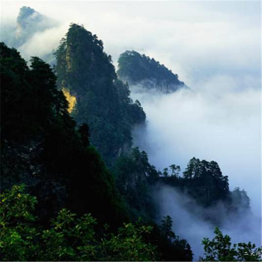 伏龙山(浙江省宁波市慈溪市伏龙山)