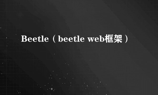 Beetle(beetle web框架)