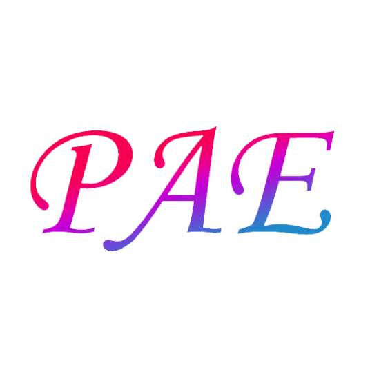 PAE(品牌)