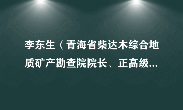 李东生(青海省柴达木综合地质矿产勘查院院长、正高级工程师(教授级))