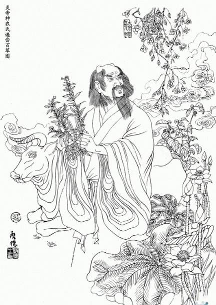 百草神农(中国传统文化类综合性电视栏目)