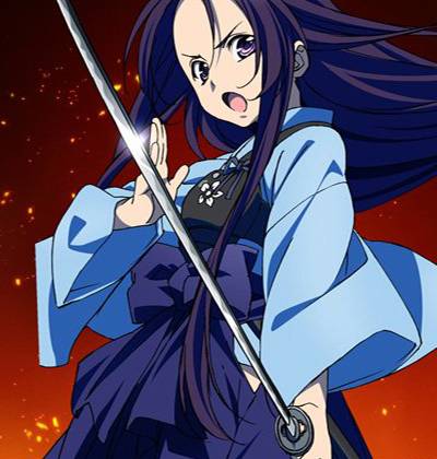 明智光秀(日本轻小说《织田信奈的野望》及其衍生作品中的角色)