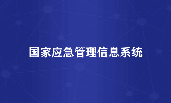 国家应急管理信息系统