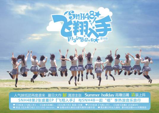 飞翔入手(SNH48演唱歌曲)