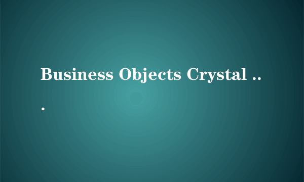 Business Objects Crystal Reports XI 专业版