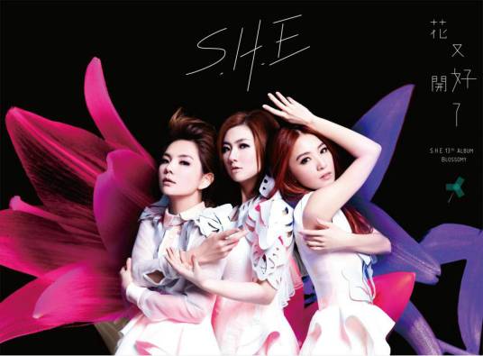 迫不及待(S.H.E演唱的歌曲)