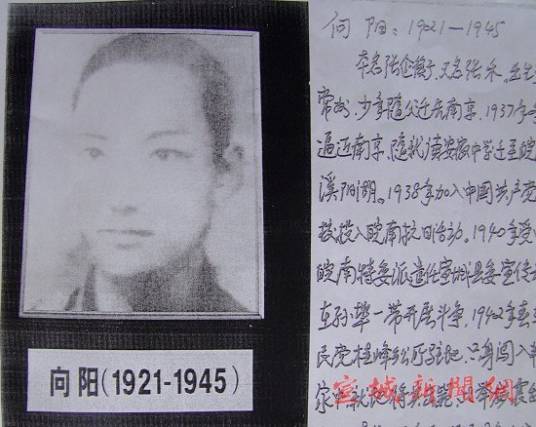 向阳(革命烈士)