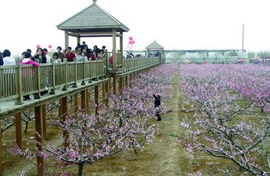 垦利街道生态农业观光园