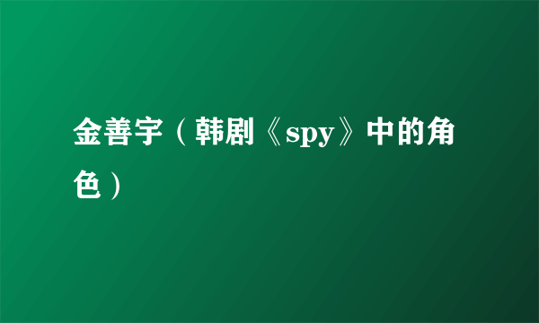 金善宇(韩剧《spy》中的角色)