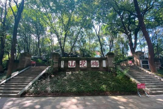 梅花山(重庆市北碚区梅花山)