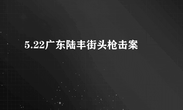 5.22广东陆丰街头枪击案