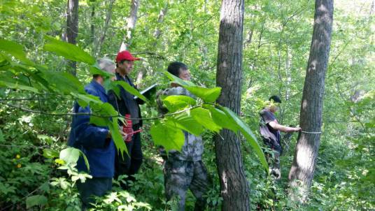 中国森林资源清查(重点工程)