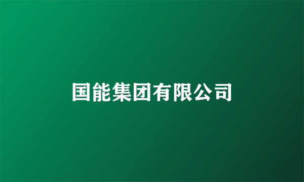 国能集团有限公司