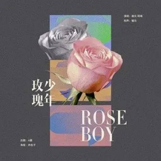 玫瑰少年(碓兑演唱的歌曲)