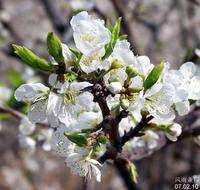 茶山村(广东省茂名市信宜市茶山镇下辖村)