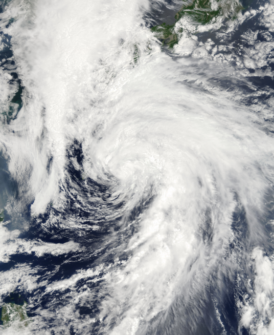 台风莲花(2003年第4号强热带风暴)