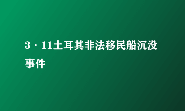 3·11土耳其非法移民船沉没事件