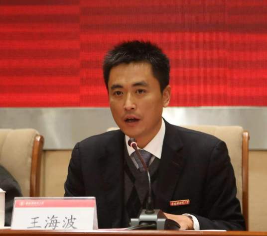 王海波(景德镇陶瓷大学党委委员、副校长)